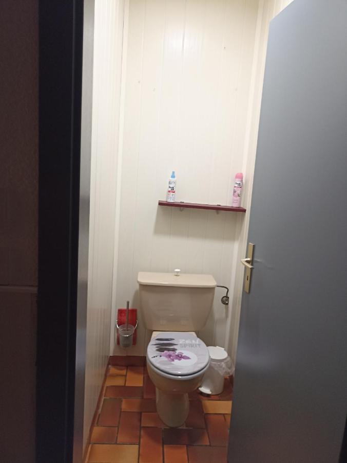 Appartement Avec Balcon Hargarten-aux-Mines Kültér fotó